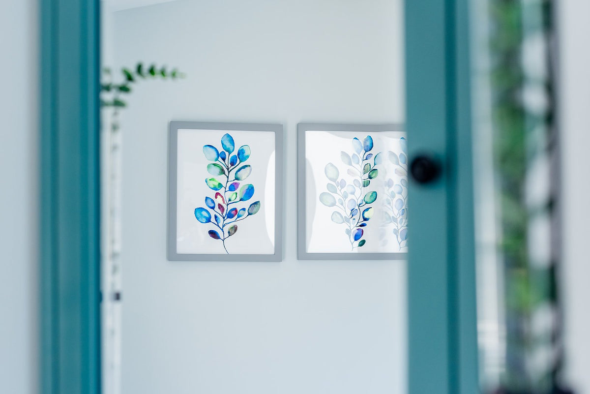 Botanical prints in the hallway at Elevate Salon + Spa, Charlottesville VA
