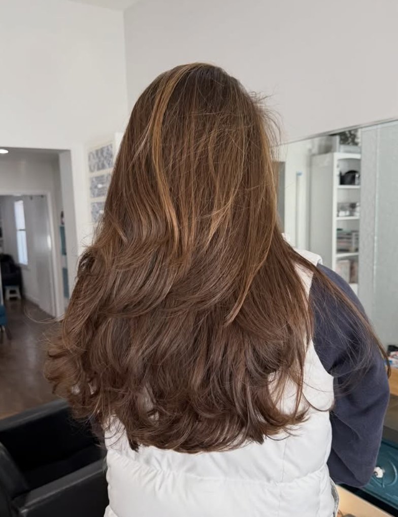 Layered chocolate brunette blowout at Elevate Salon + Spa, Charlottesville VA