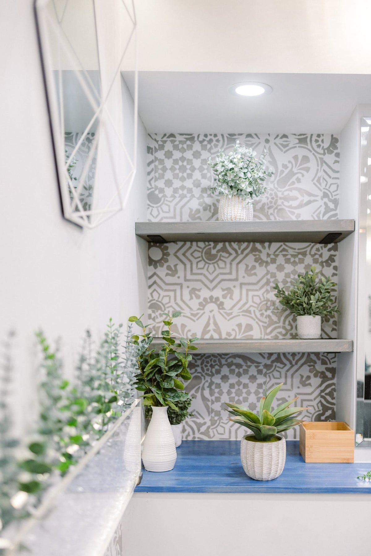 Shelving nook with plants and patterned tile at Elevate Salon + Spa, Charlottesville VA
